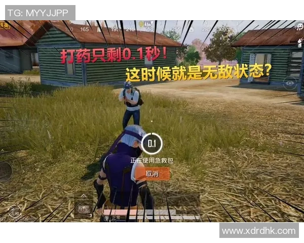 和平精英评论：WE在比赛中的反击策略与成效分析