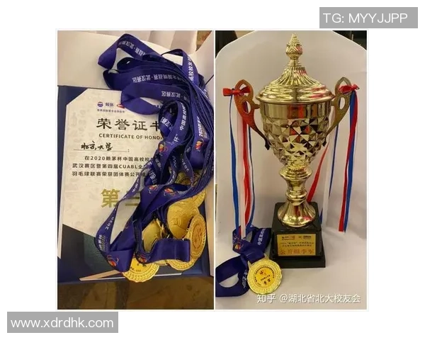 南京羽毛球队近期状态分析与未来发展展望