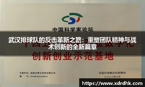 武汉排球队的反击革新之路：重塑团队精神与战术创新的全新篇章
