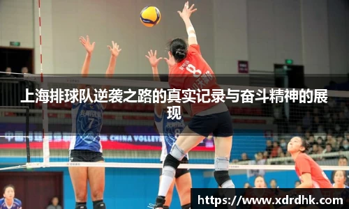 上海排球队逆袭之路的真实记录与奋斗精神的展现
